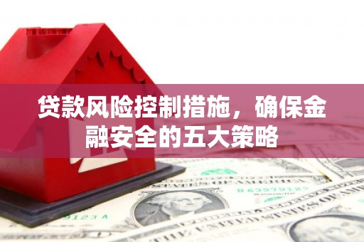 清流贷款风险控制措施，确保金融安全的五大策略