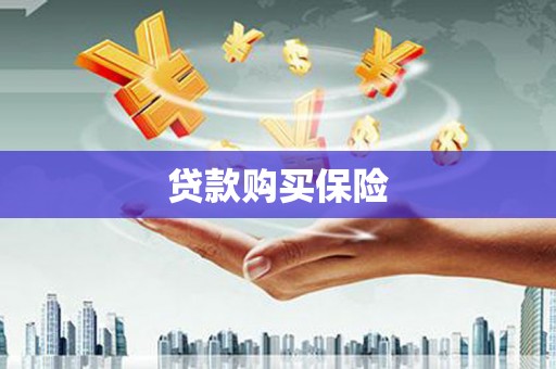 云安贷款购买保险