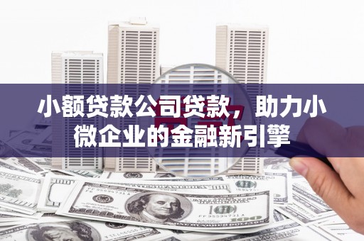 六安小额贷款公司贷款，助力小微企业的金融新引擎