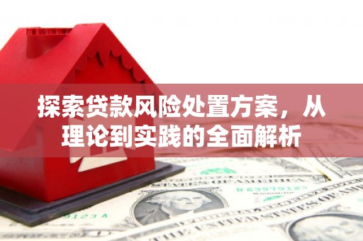 琉球探索贷款风险处置方案，从理论到实践的全面解析