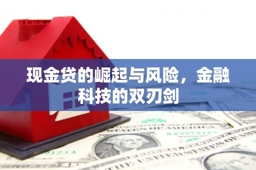 茂林现金贷的崛起与风险，金融科技的双刃剑