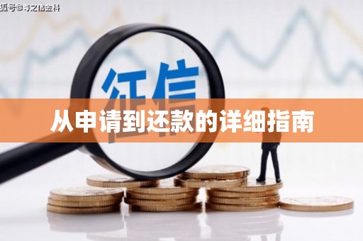 云林从申请到还款的详细指南
