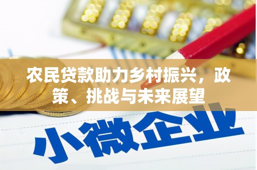 乾安农民贷款助力乡村振兴，政策、挑战与未来展望