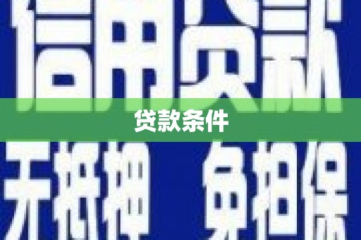 元宝贷款条件