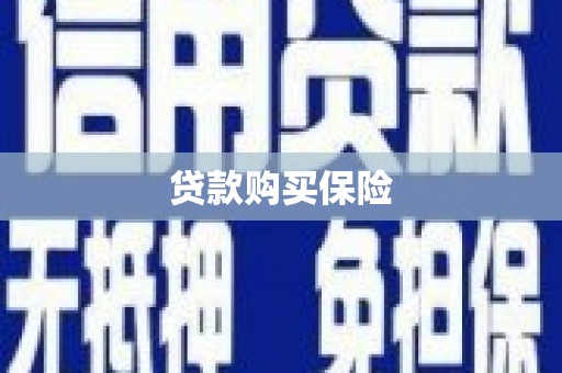 波密贷款购买保险