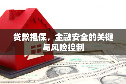 泗阳贷款担保，金融安全的关键与风险控制