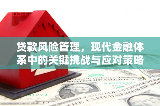 兴山贷款风险管理，现代金融体系中的关键挑战与应对策略