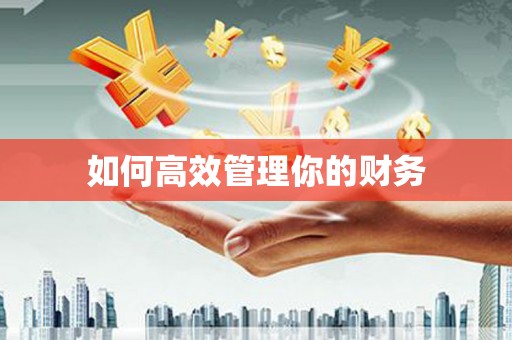 凌河如何高效管理你的财务