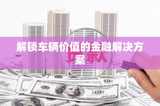 牡丹解锁车辆价值的金融解决方案