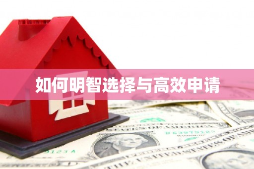 冀州如何明智选择与高效申请