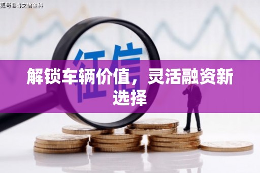 南郊解锁车辆价值，灵活融资新选择