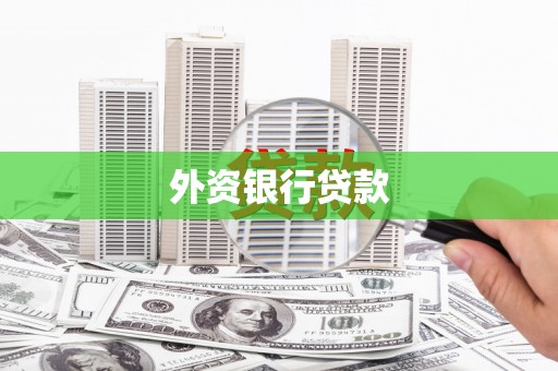 咸宁外资银行贷款